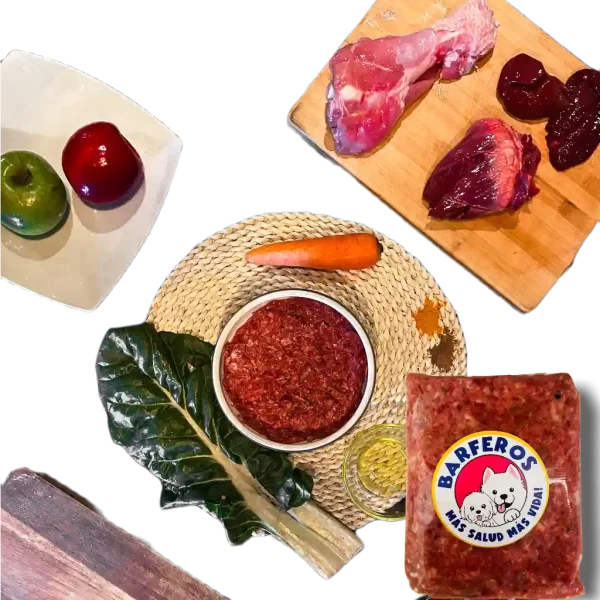 Dieta natural para perros
